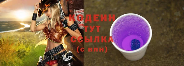 хмурый Гусь-Хрустальный